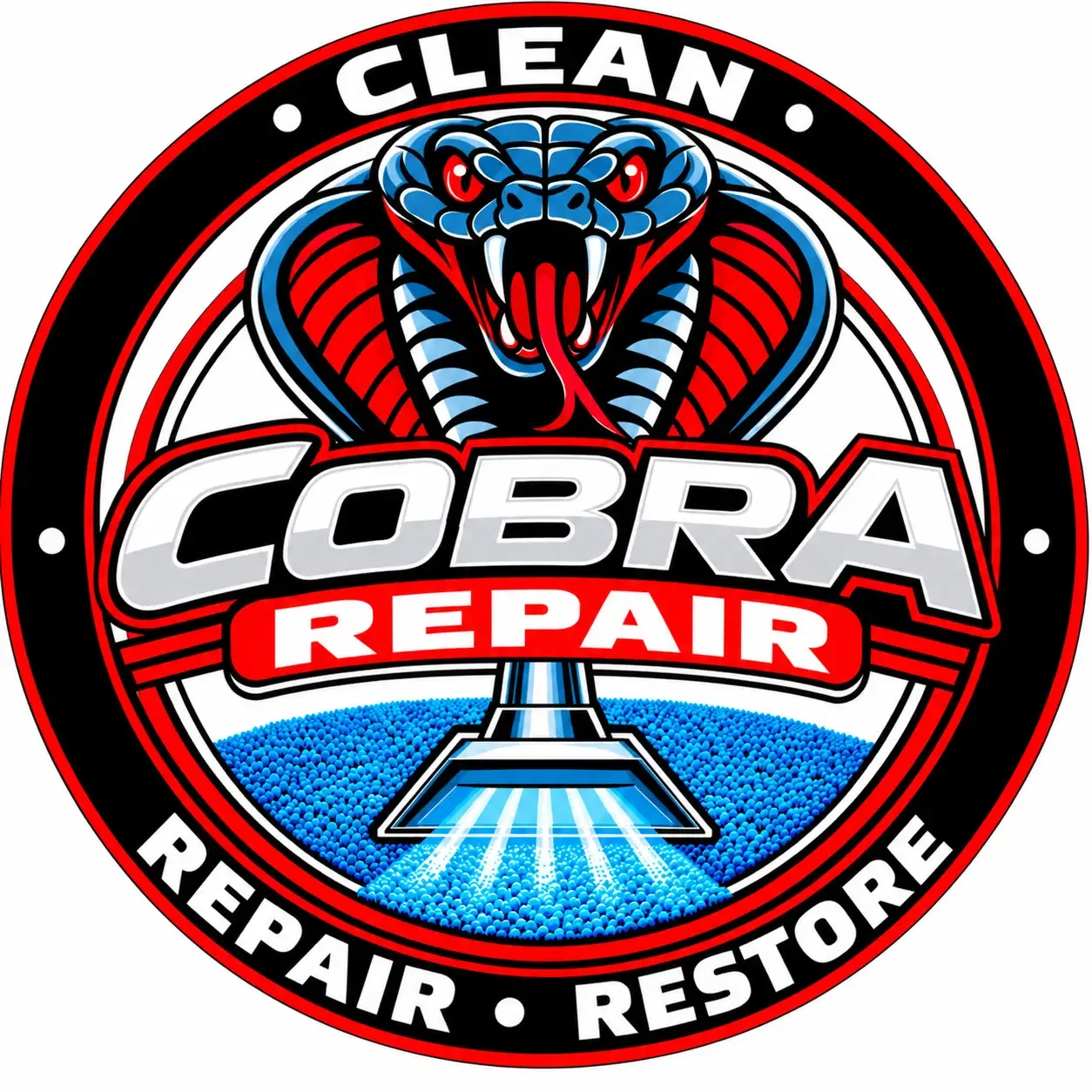 Cobra Repair