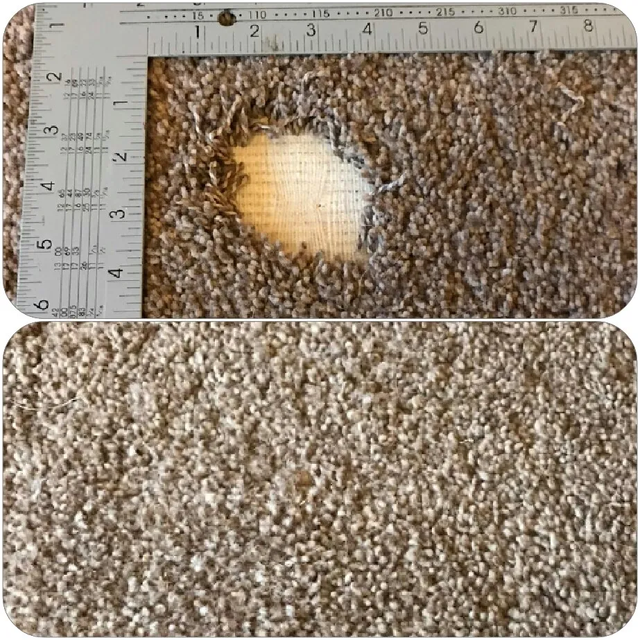 Carpet cut and edge repair example