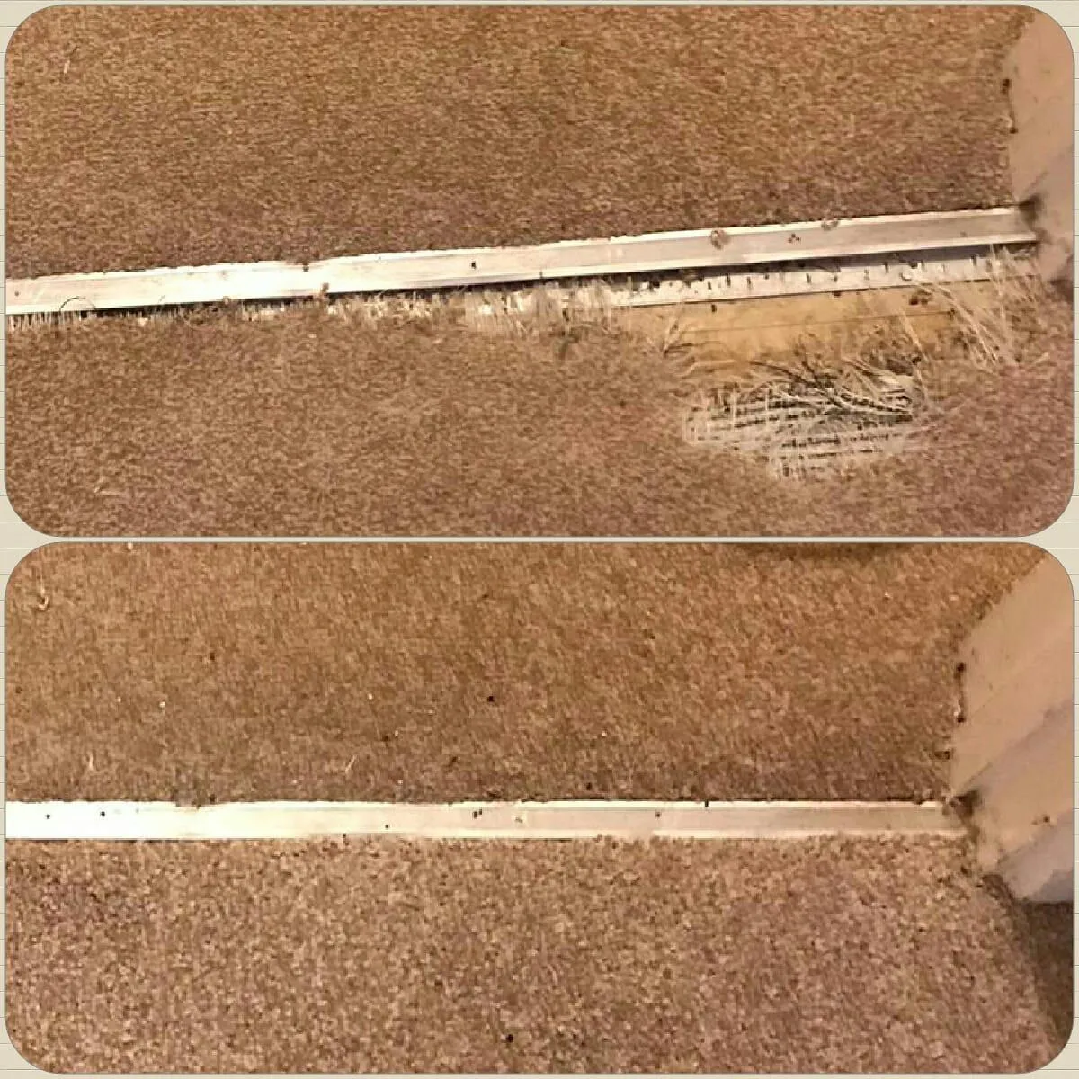 Carpet edge restoration example